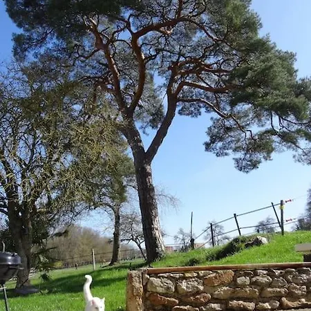 Moulin De La Chamblon En Pleine Nature Parmi Les Chevaux Proche Chateau Thierry