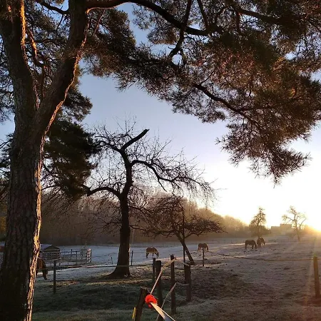 Moulin De La Chamblon En Pleine Nature Parmi Les Chevaux Proche Chateau Thierry بيت للعطل Montfaucon (Aisne)